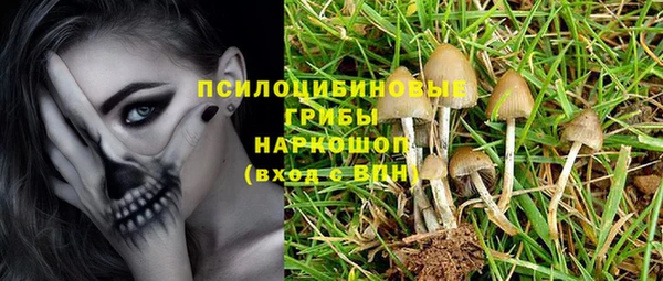 каннабис Абаза