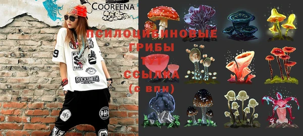 каннабис Абаза
