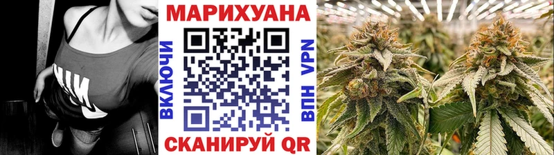 где найти   Княгинино  МЕГА tor  Бошки Шишки Amnesia 